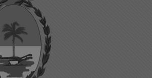 gris.jpg